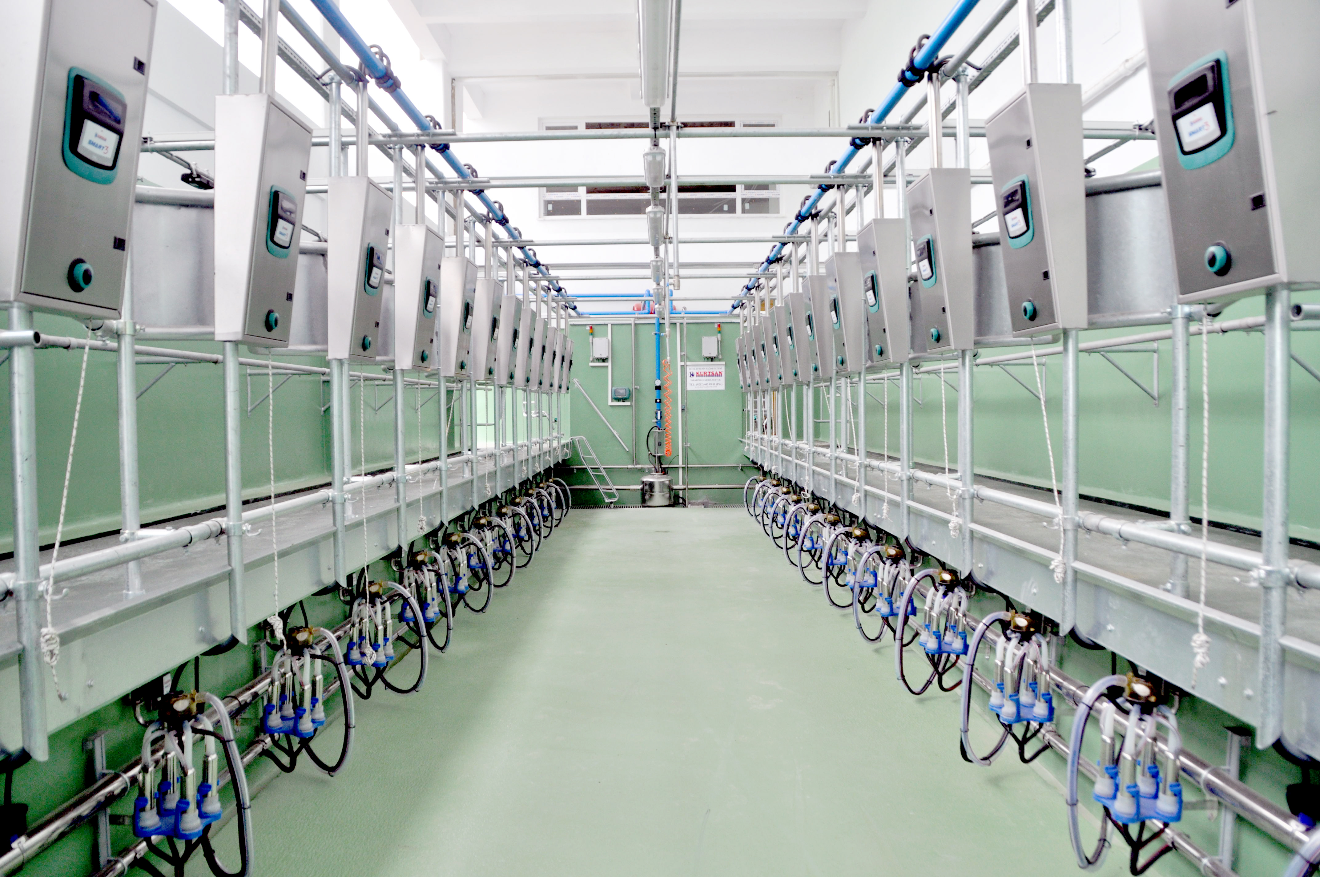 ED200 Otomasyonlu Balıkkılçığı Sağım Sistemi