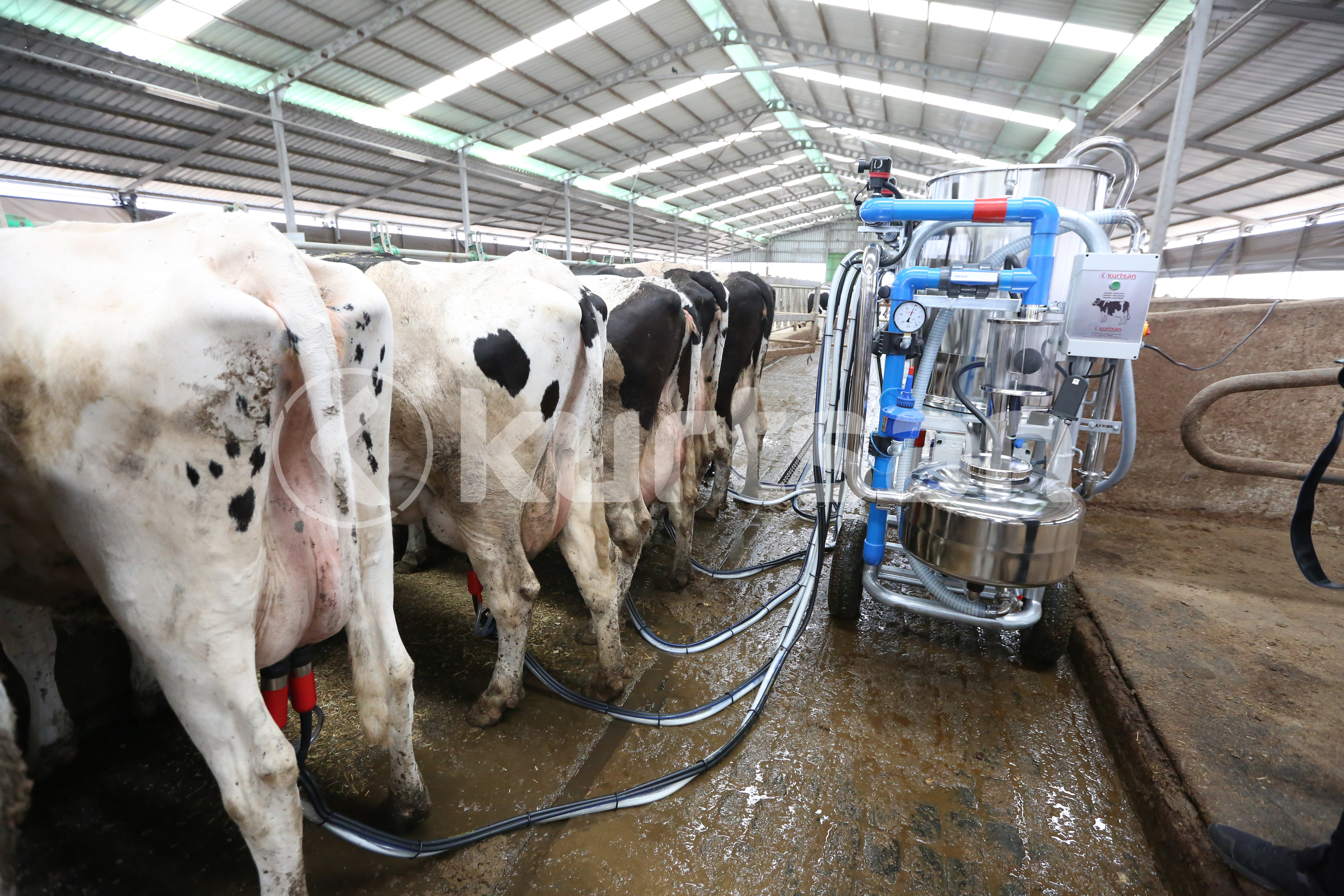 Kurtsan Diğer Çiftlik Ekipmanları