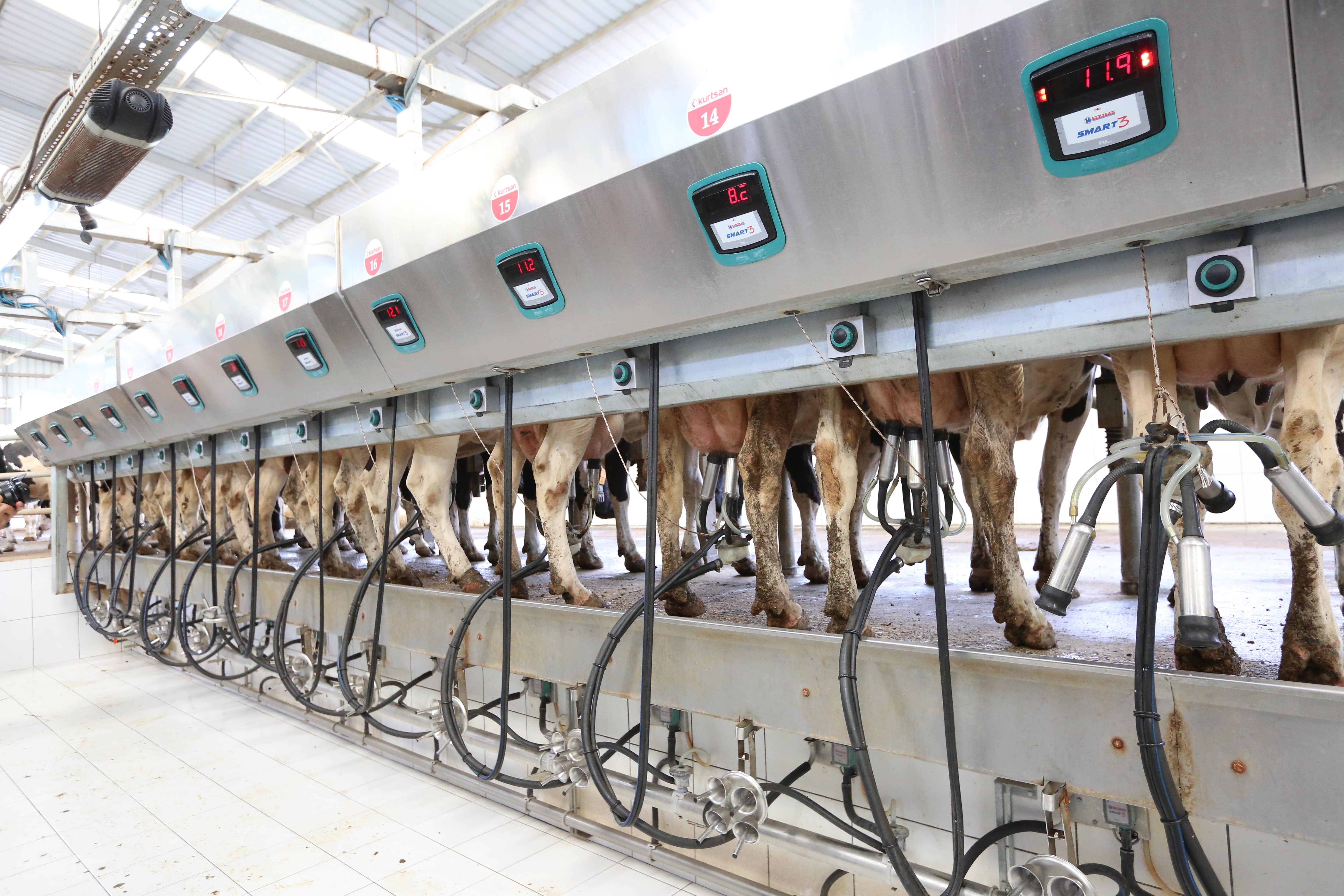 Hızlı Çıkış Sağım Sistemleri