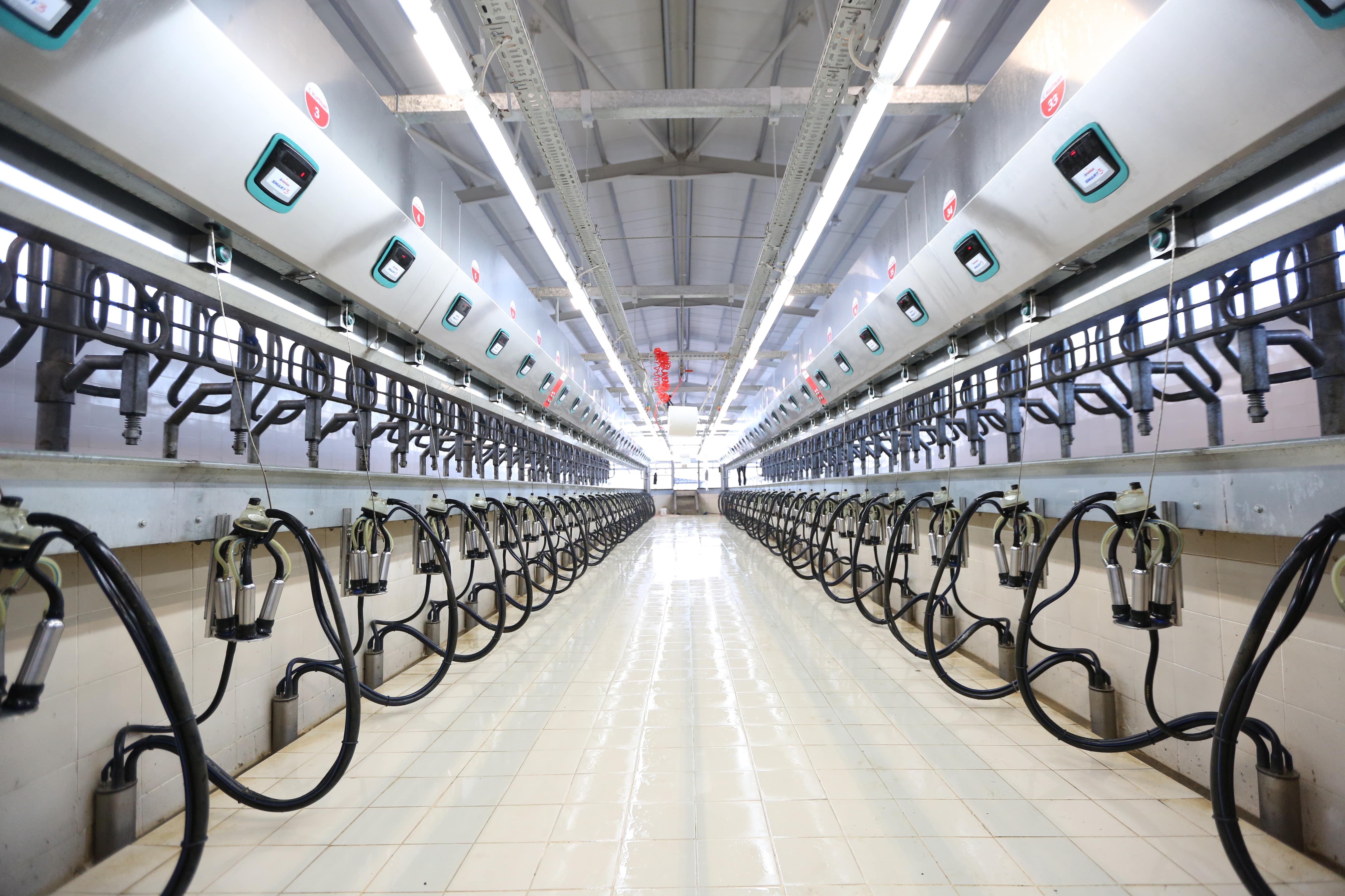 Hızlı Çıkış Sağım Sistemleri