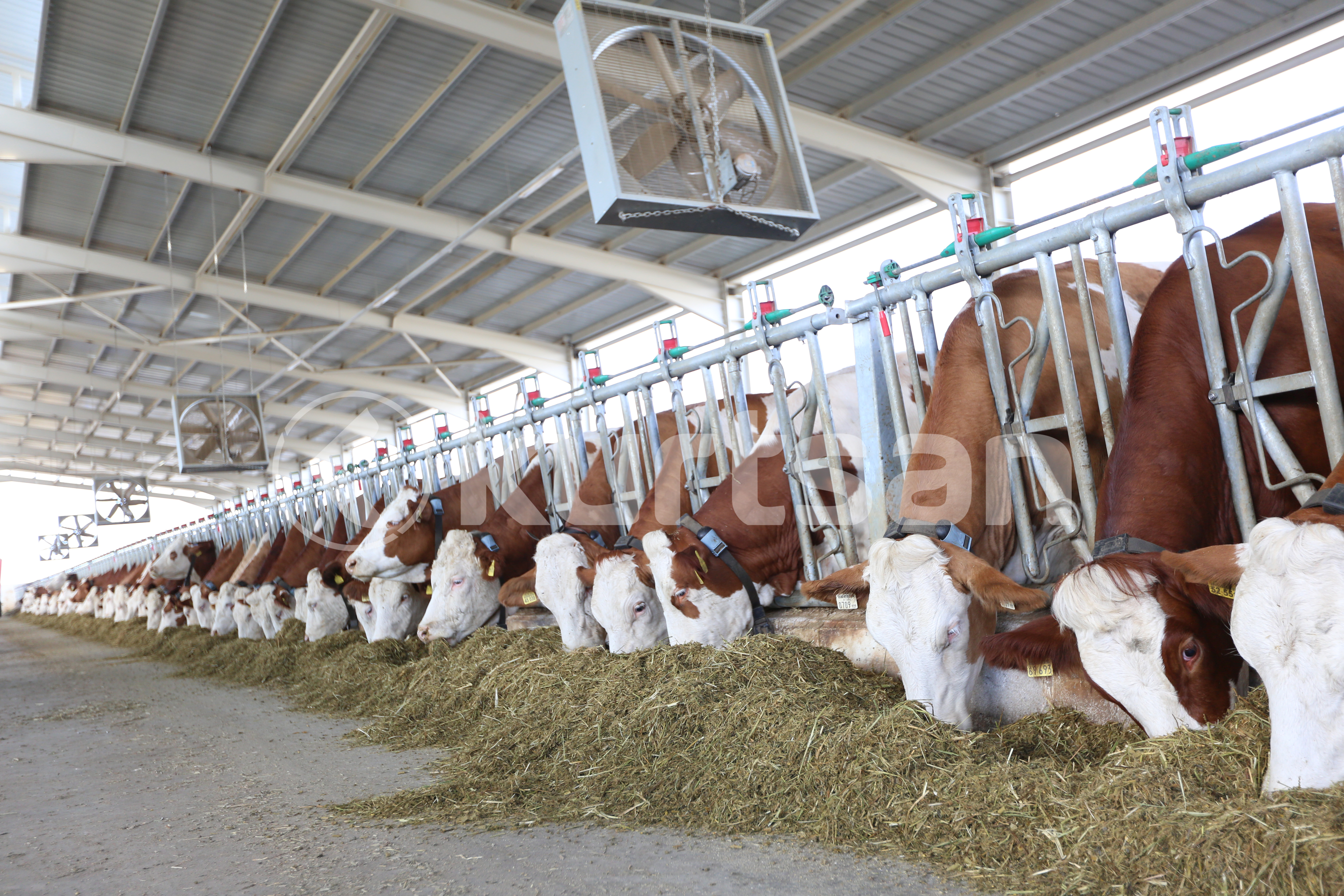 Kurtsan Diğer Çiftlik Ekipmanları