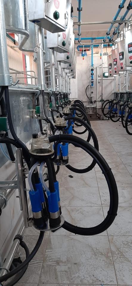 Ilgın Çiçek Tarım Süt İşletmesi