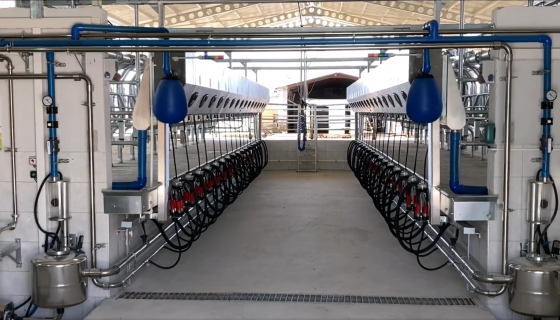 Galipoğlu Hay-Tar 2x16 İndex Hızlı Çıkış Sağım Sistemi