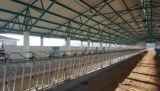 Ilgın Çiçek Tarım Süt İşletmesi